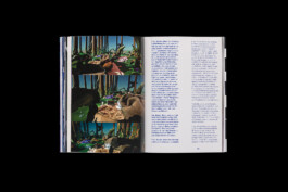 Doppelseite des Kataloges zur Ausstellung von Stefan Pathans und Andrea Winkler im HMKV