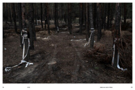 Doppelseite aus dem Buch „Das wilde Feld – Front und Hinterland in der Ukraine“ von Dominic nähr und Ivo Mijnssen